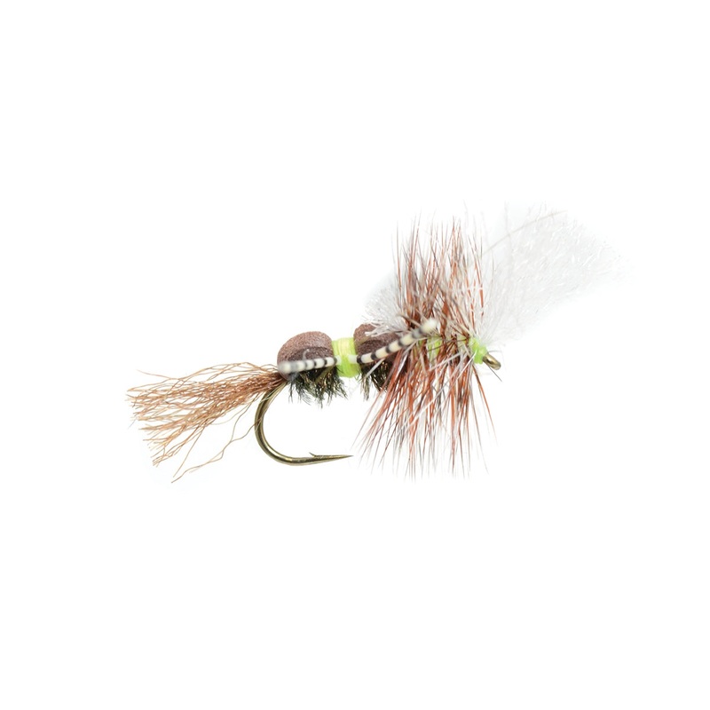Grumpy Frumpy Peacock/Chartreuse