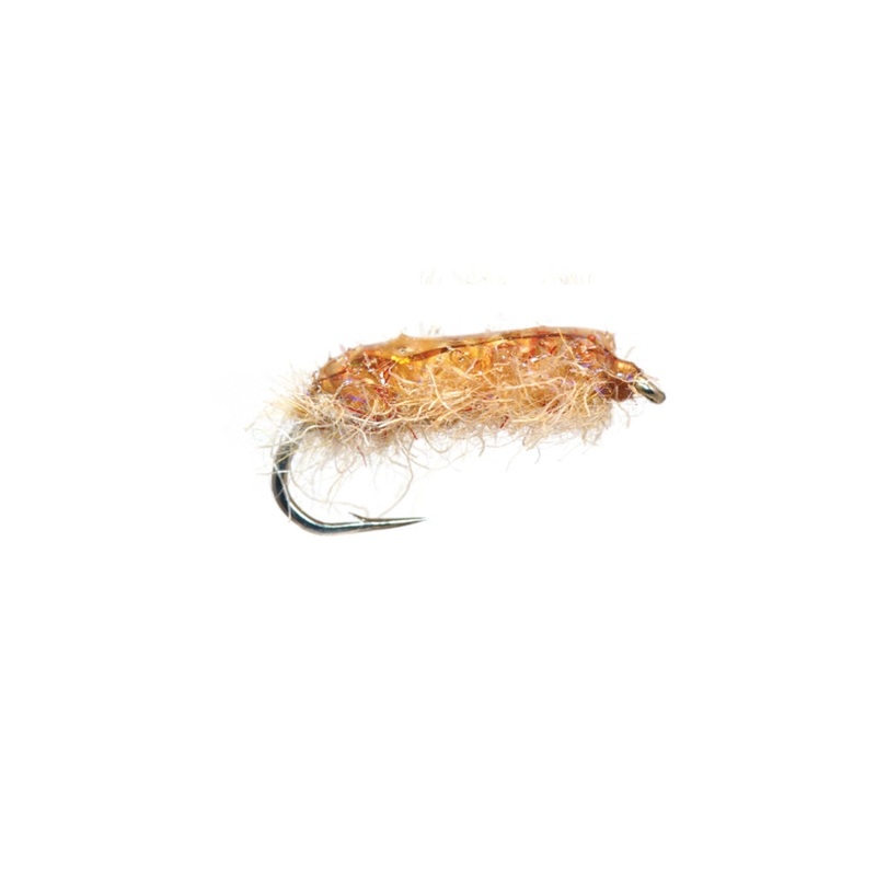 Gut Sack Sow Bug Tan