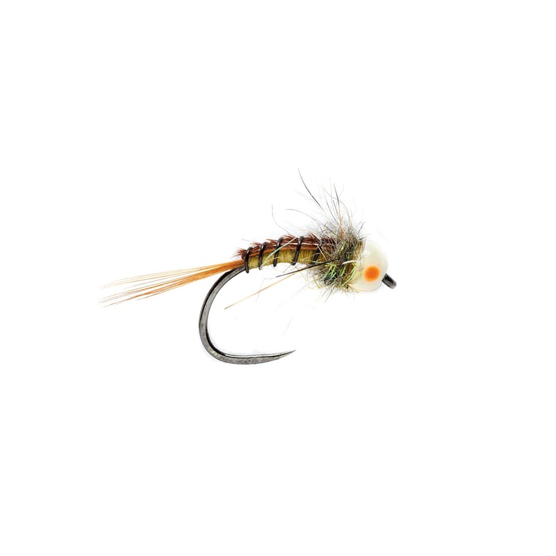Hot Cheek Nymph (TBH) B/L