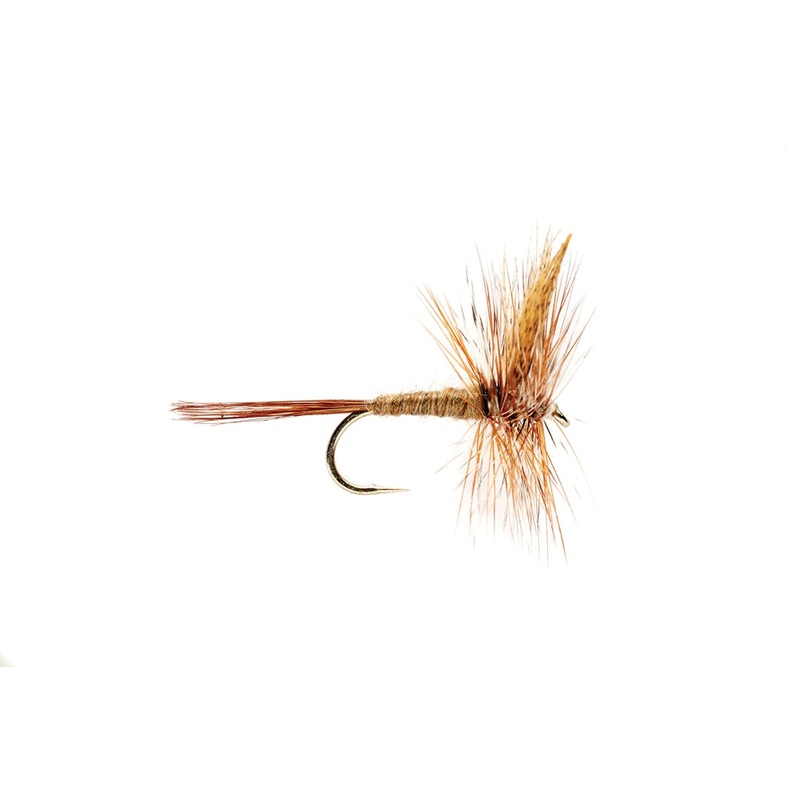 March Brown