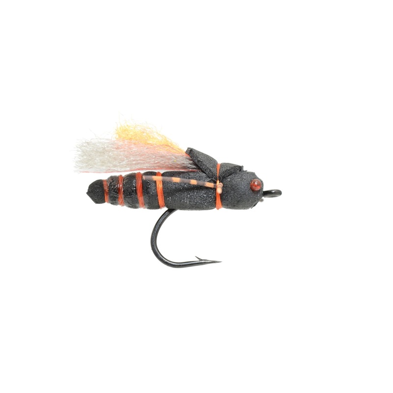 Project Cicada