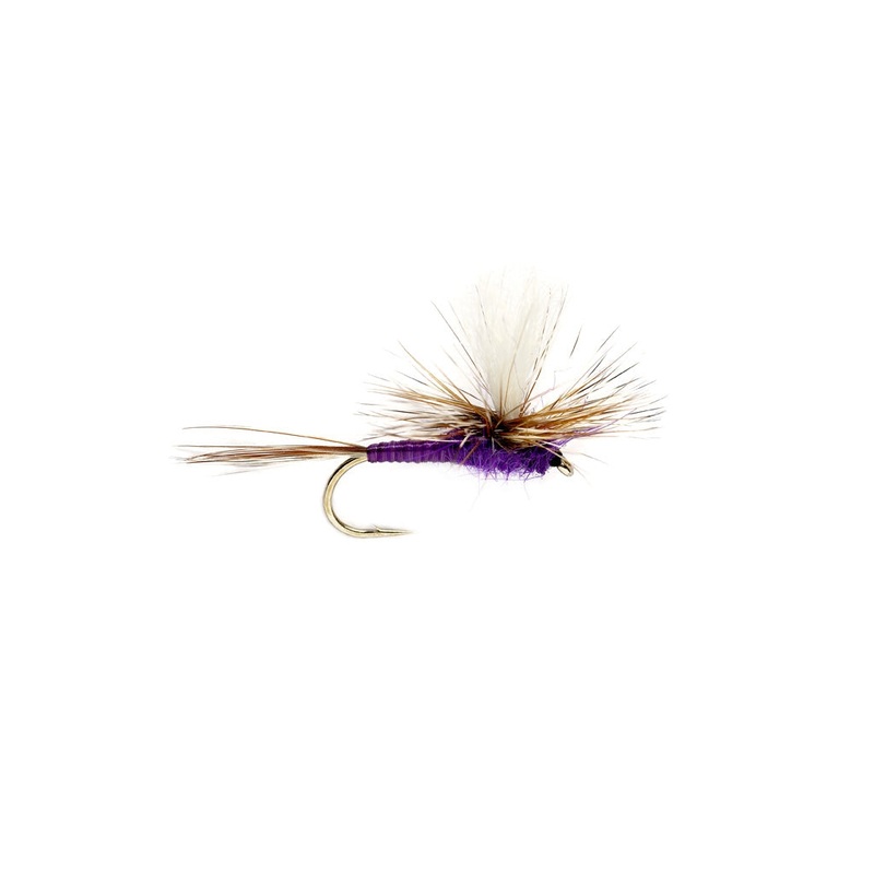 Purple Parachute Adams