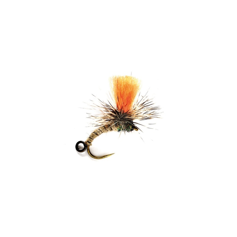 Special Klinkhammer Duo B/L