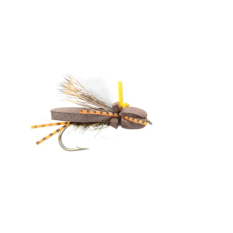 Stoneflopper Brown