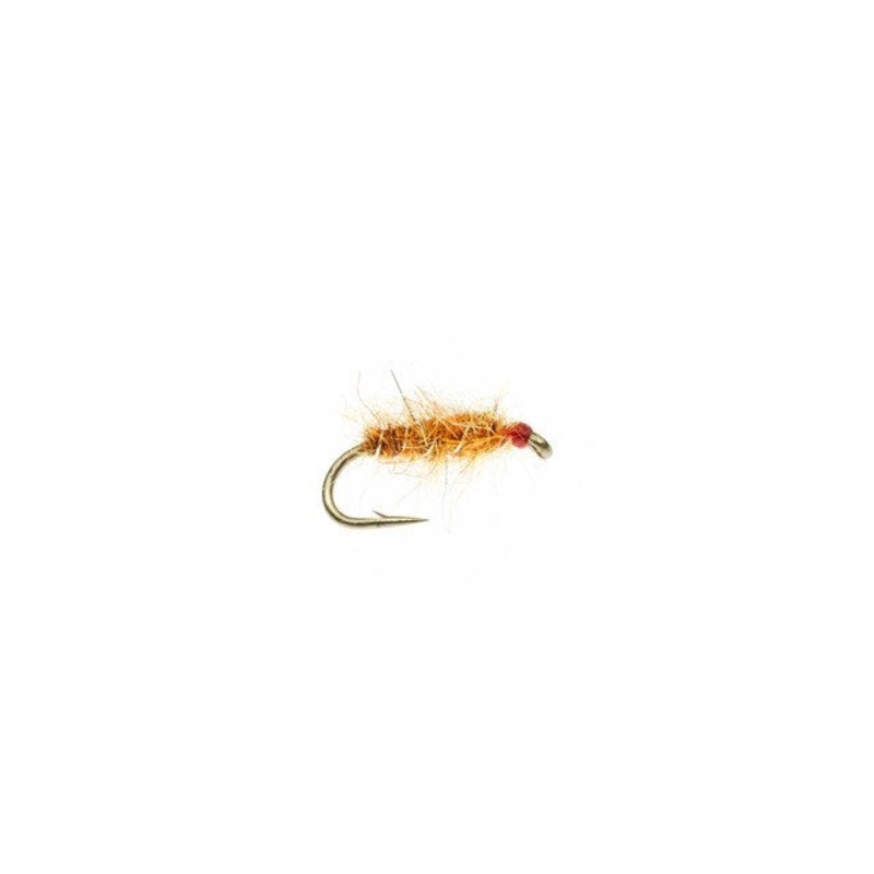 Tailwater Sowbug - Orange