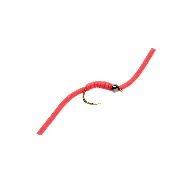 Wiggly Worm (TBH)