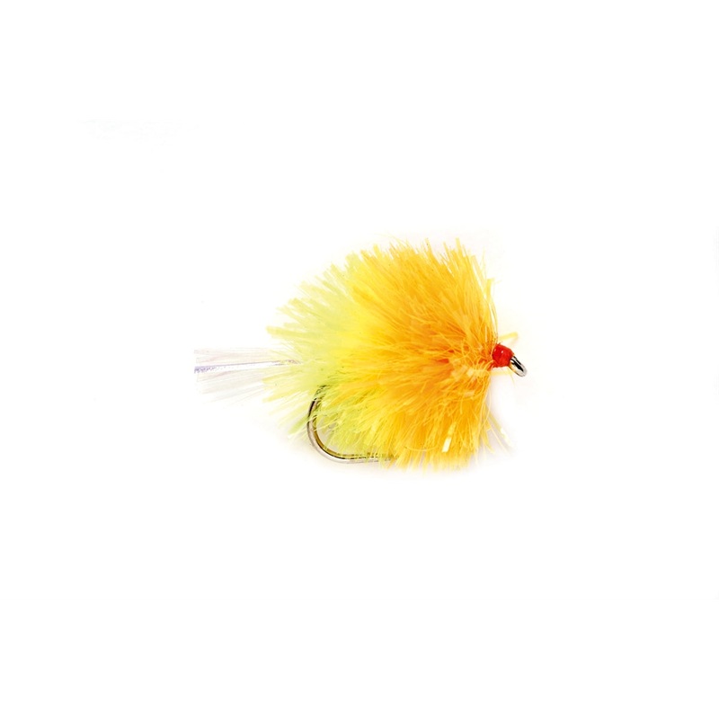 Blob - Cocktail Sunburst
