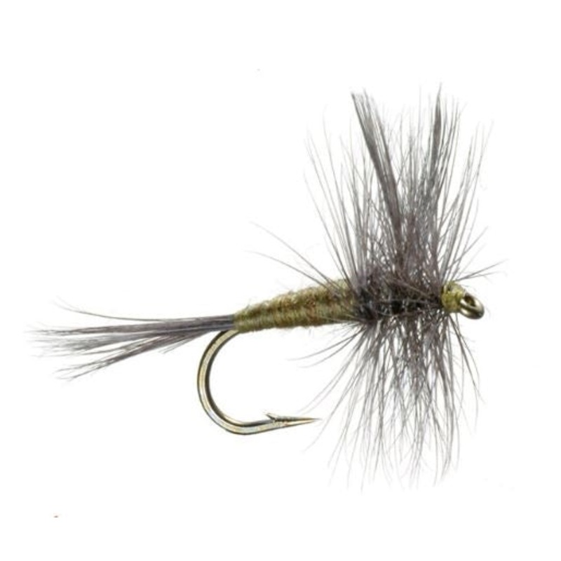 Blue Wing Olive