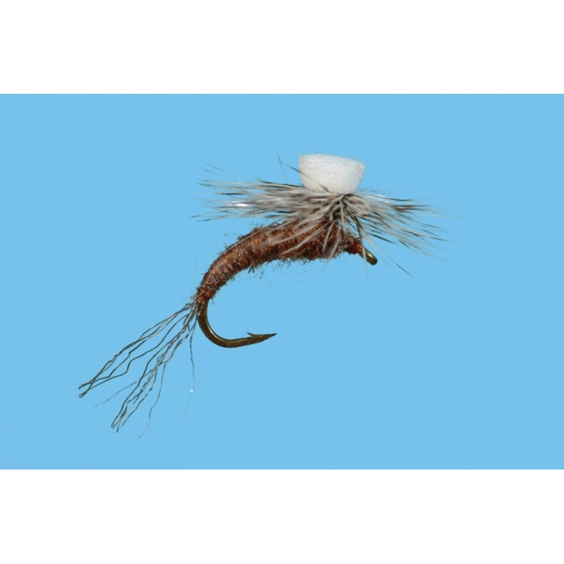 Brook's Sprout - Callibaetis