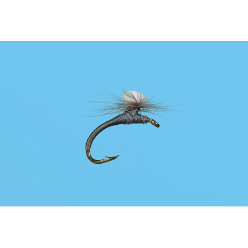 Brook's Sprout Midge - Gray