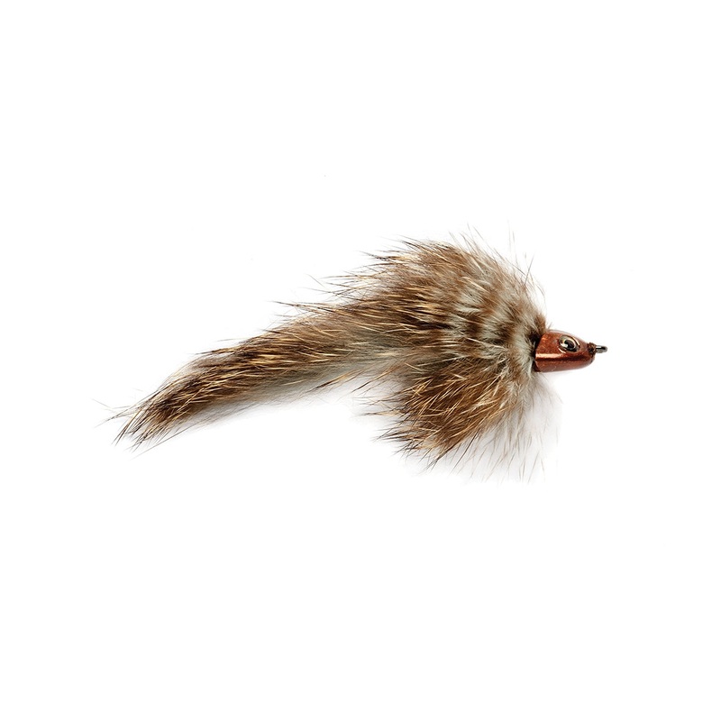 Brown Sculpinator