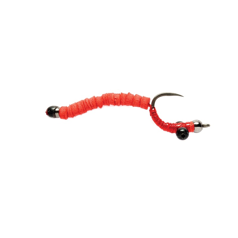 Carp Worm