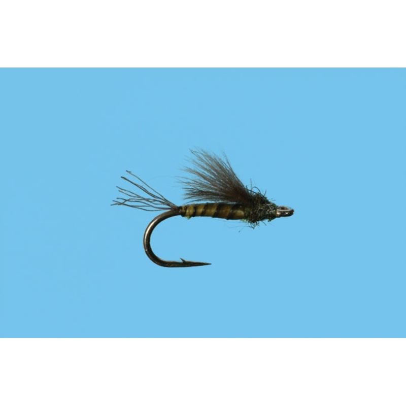 CDC Emerger - Baetis
