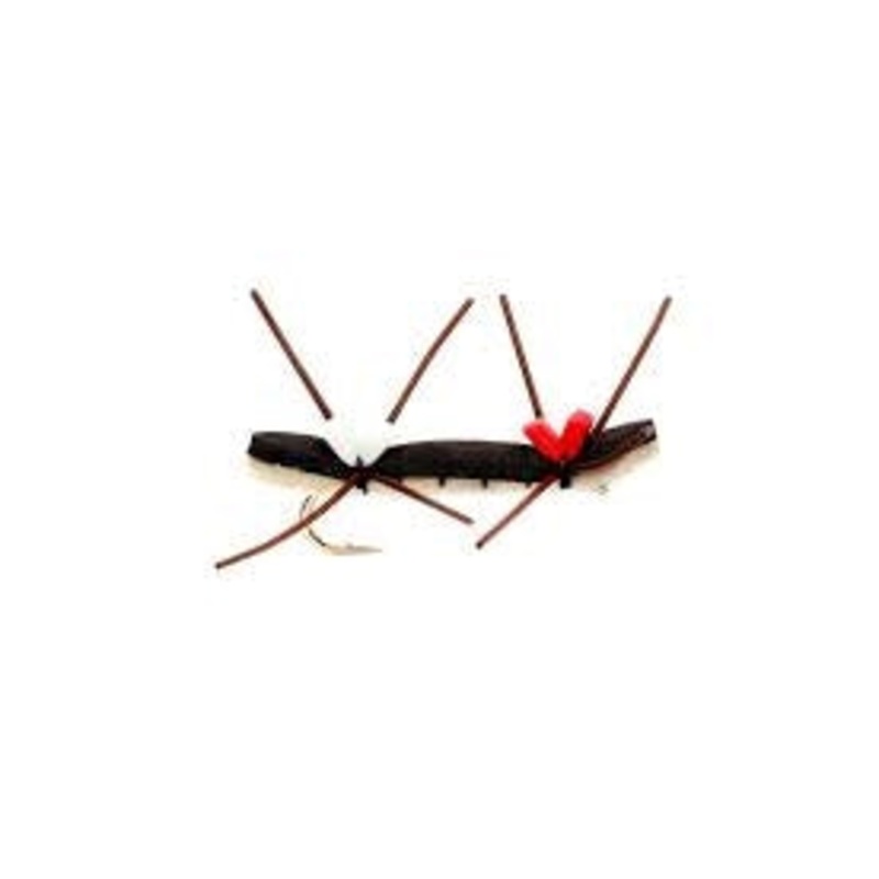 Chernobyl Ant