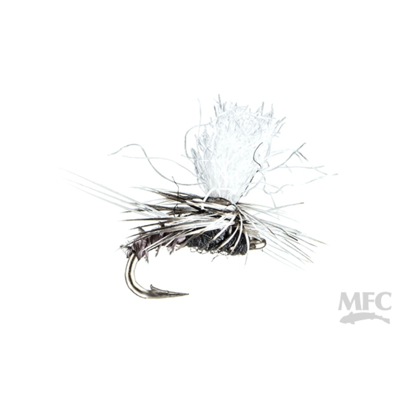 Christiaens' GT Adult - Trico