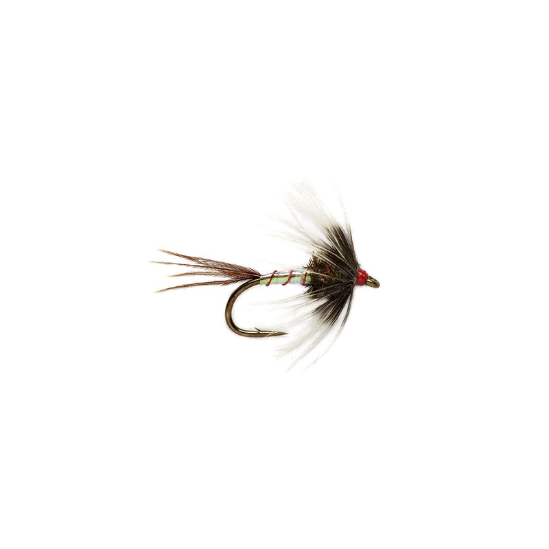DW Catchall Spider
