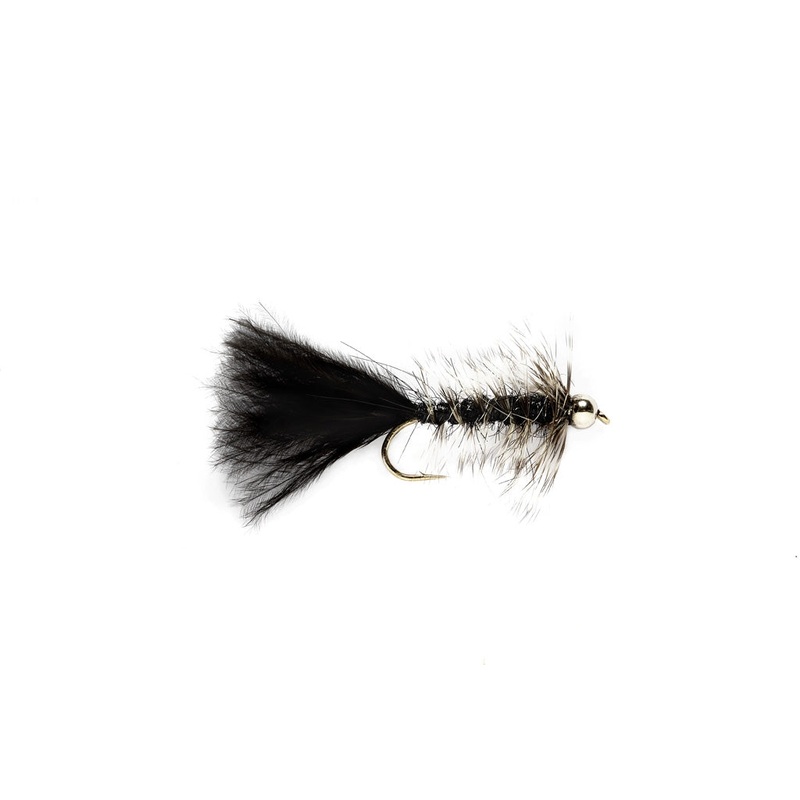 Flash Bugger Black