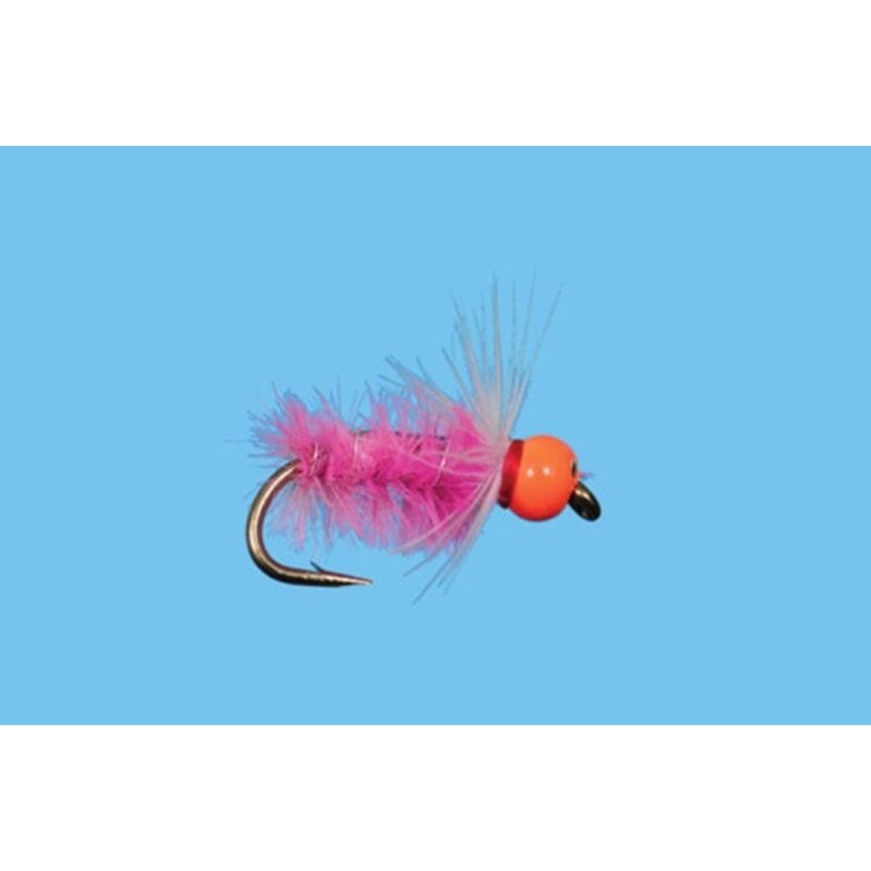 Hot Head Sow Bug - Pink