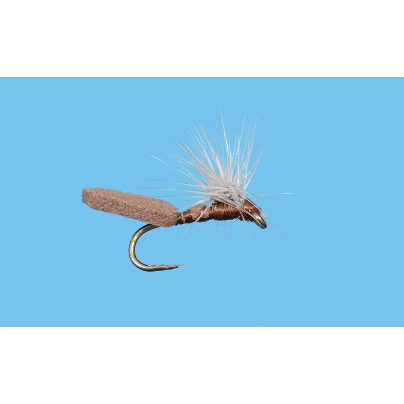 Mother Shucker - Brown