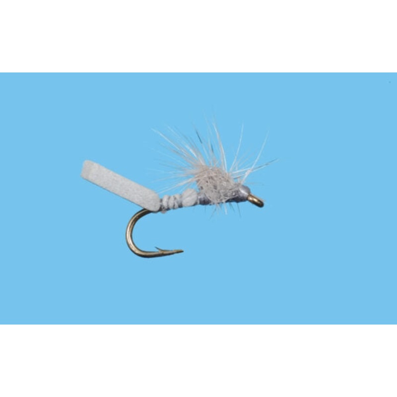 Mother Shucker - Gray