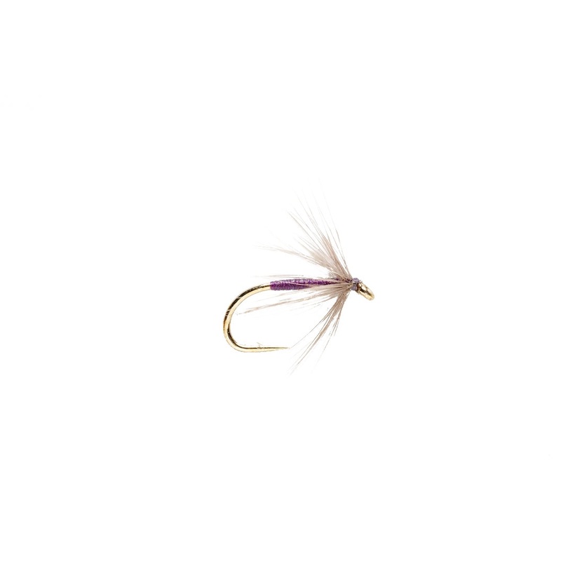 Snipe & Purple