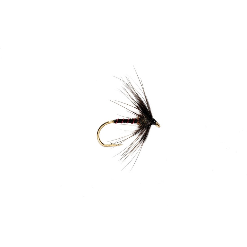 Spider Black Magic
