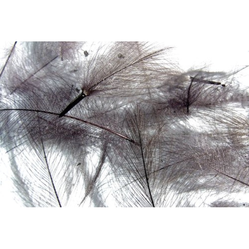 Hareline Cul De Canard (Slate Gray)