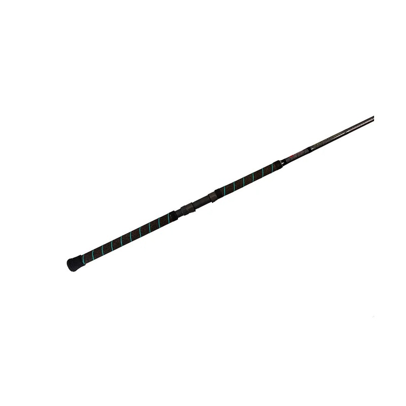 Phenix Abyss Spinning Rod