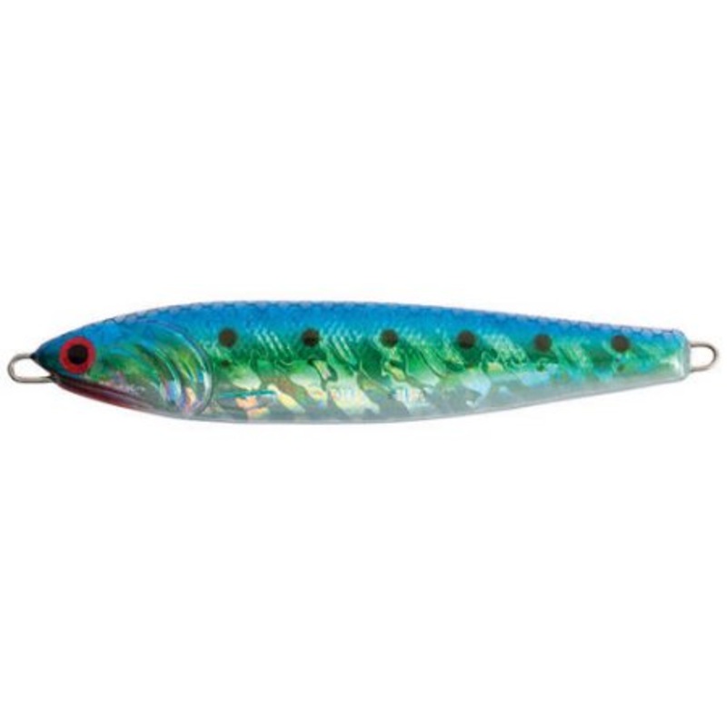 Point Wilson #20 Anchovy