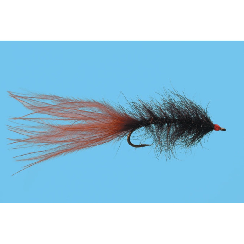 Solitude Hale Bopp Leech