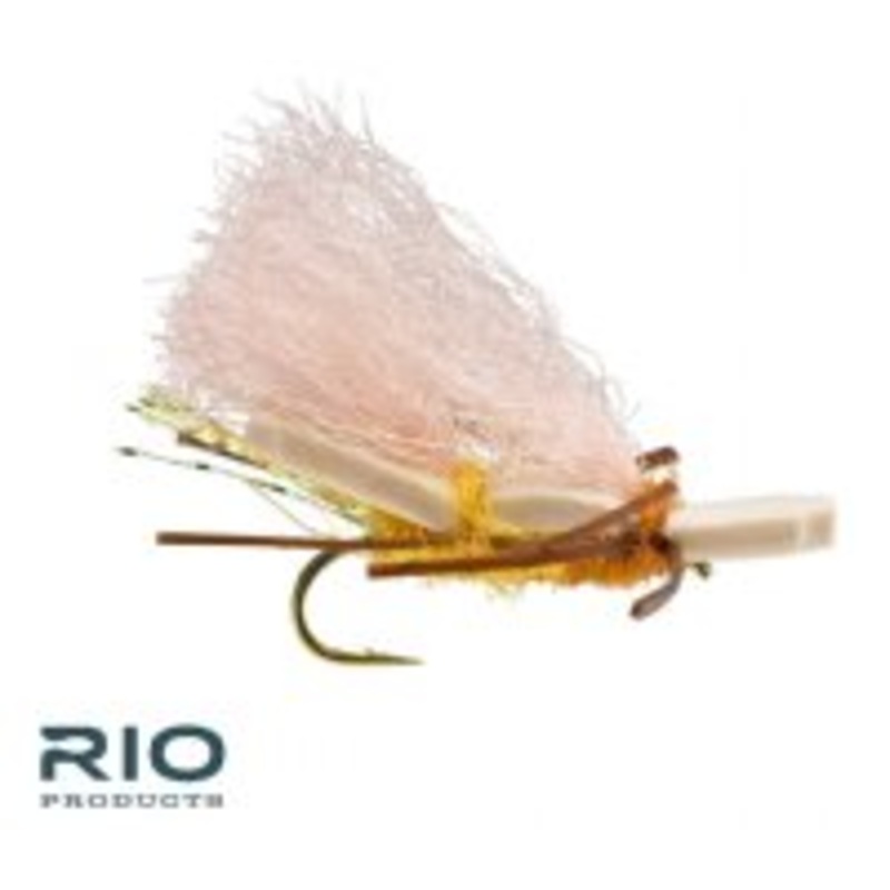 Rio Chubby Norm