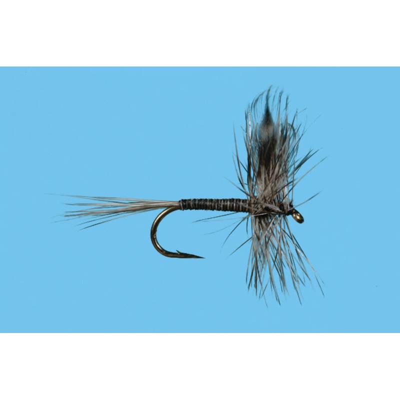 Solitude Mosquito
