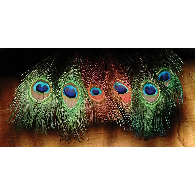 Hareline Dyed Peacock Eye Sticks