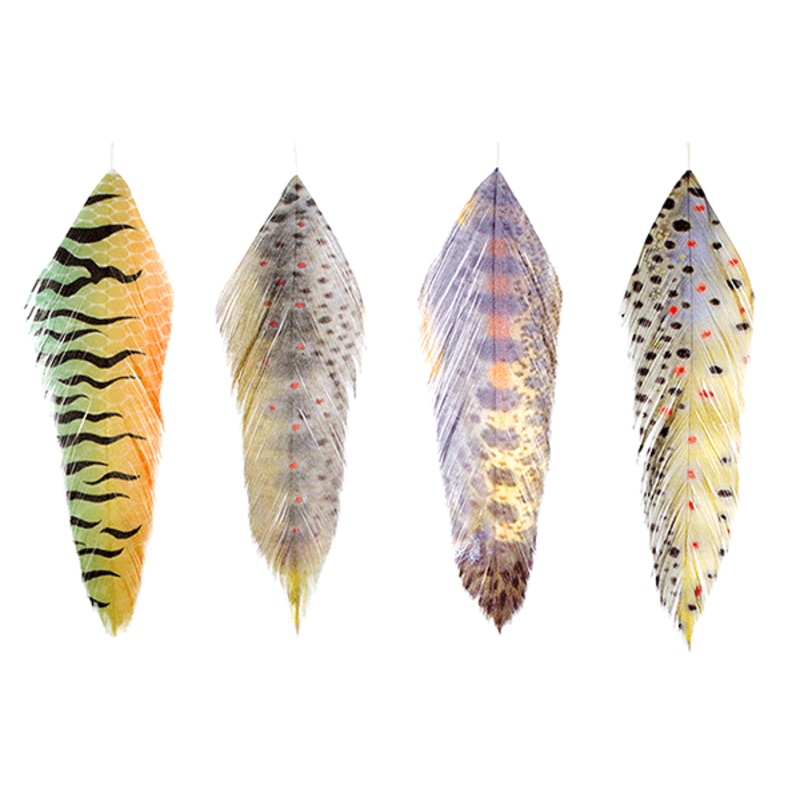MFC - Galloup's Fish Feathers