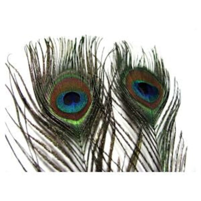 Peacock Eye Sticks