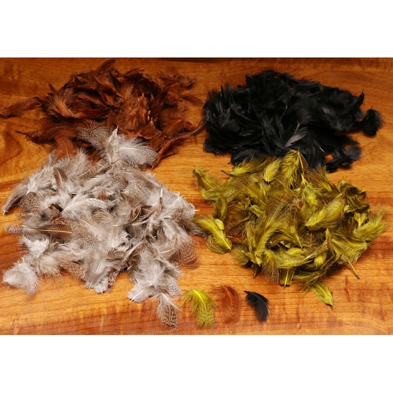 Premium Partridge Feathers