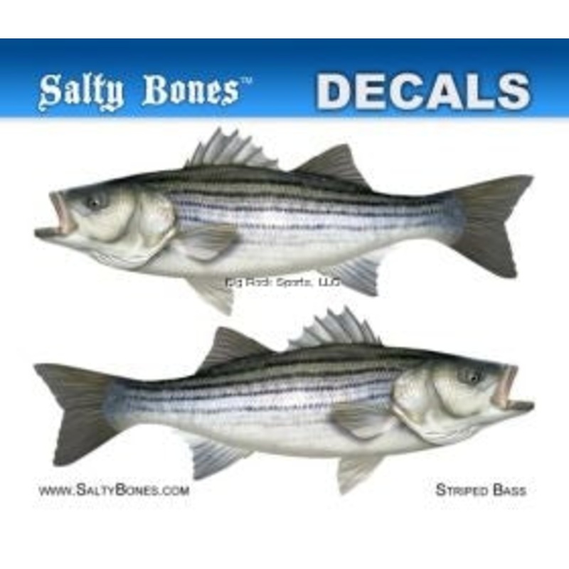 Salty Bones Decal Mini-Striped Bass Sticker