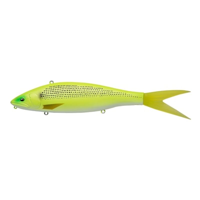 Fish Arrow Seabass Lure  VT-Jack 230 #07 MatChart Conoshiro