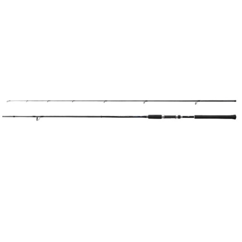 Shimano 19 Salty Advance S96L (spinning 2 Piece)