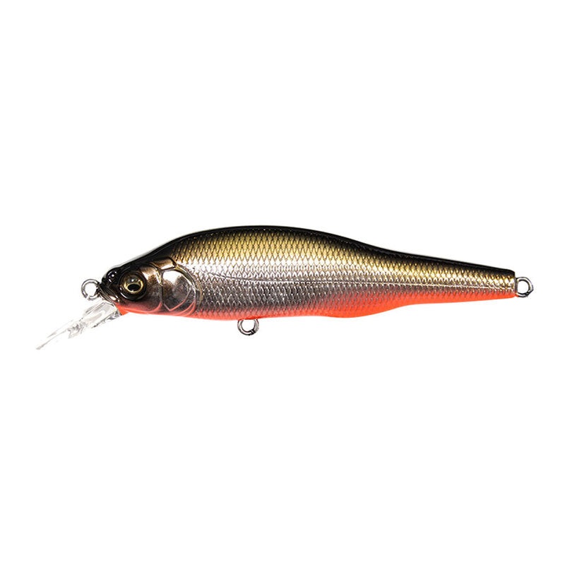 Megabass X-80 SW 15 M Anchovy Rb