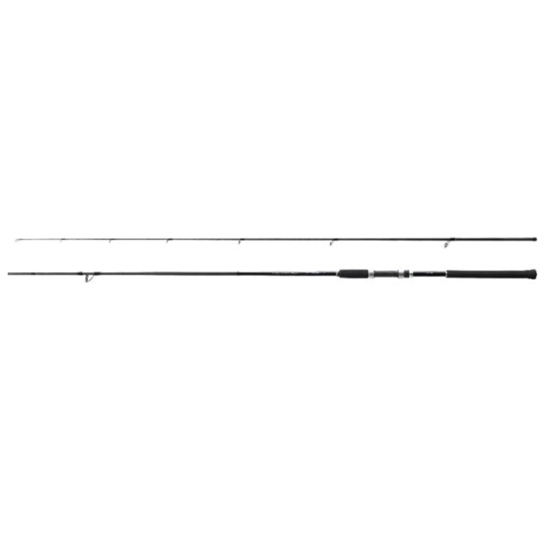 Shimano 19 Salty Advance S100L (spinning 2 Piece)