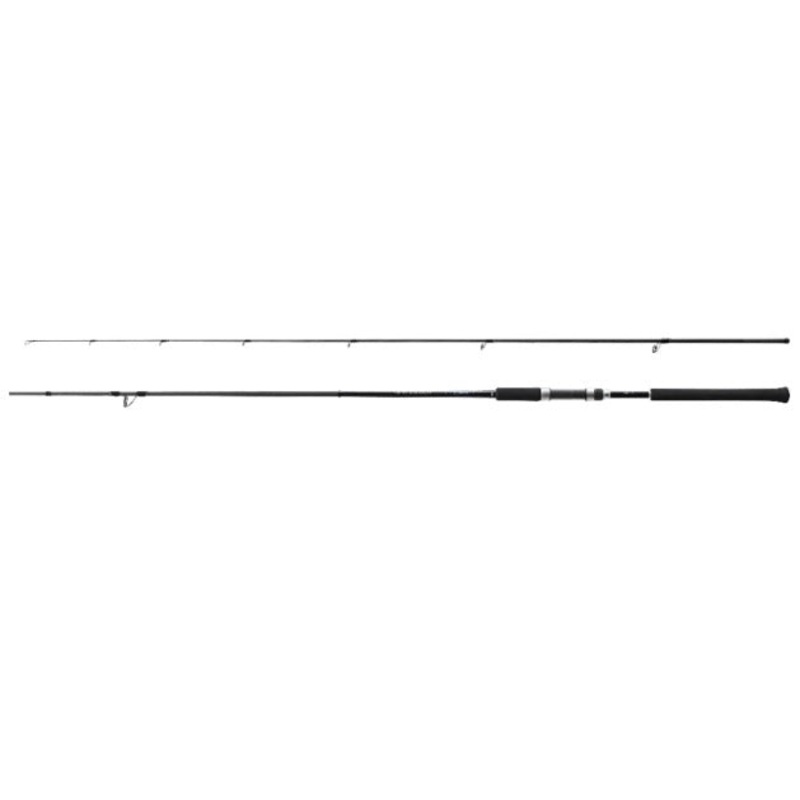 Shimano 19 Salty Advance S96ML (spinning 2 Piece)