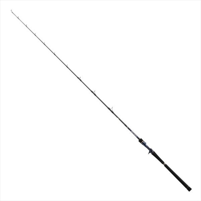 Daiwa 21 Saltiga R J62B-3 LO  (Baitcasting 1 Piece)