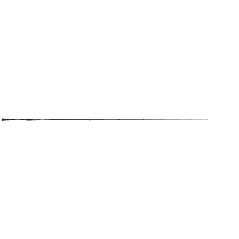 Evergreen SeaBass Rod Avantgarde ZAGS-98M/MH-EX Mighty Slugger 98EX (Spinning 2 Piece)
