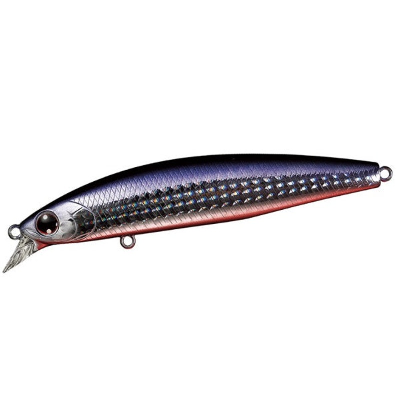 Daiwa Seabass Lure Shoreline Shiner-Z Set Upper 97S-DR 3D Sardine R