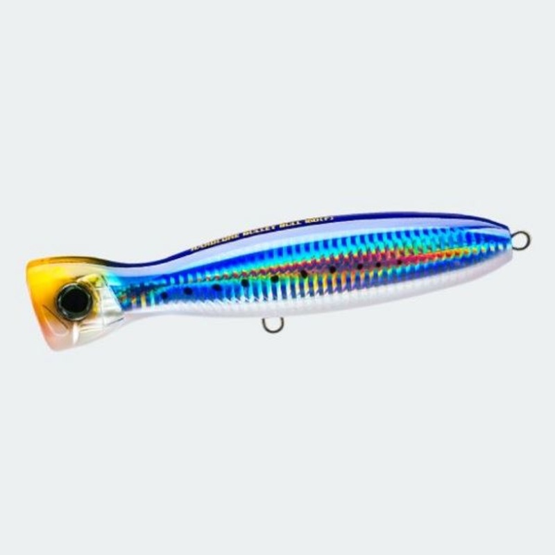 Duel Offshore Plug Hardcore Bullet Bull (F) 160mm 03 Sardine