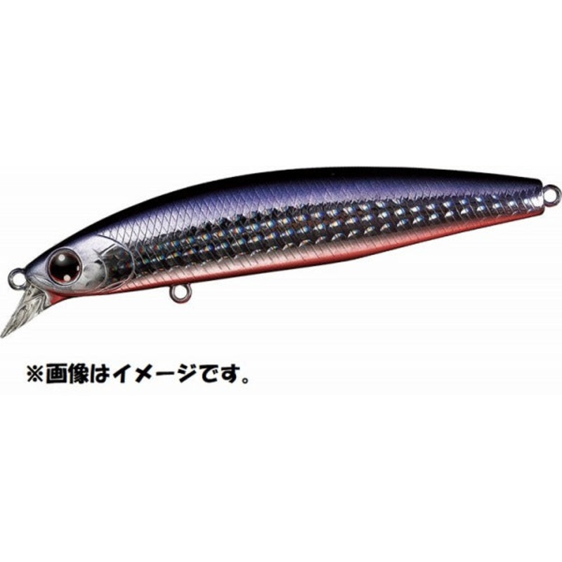 Daiwa Shoreline Shiner-Z Set Upper 97S 3D Anchovy Red Berry