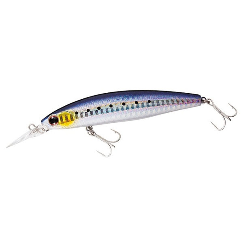 Daiwa Shoreline Shiner-Z Set Upper 97S-DR Laser Sardine