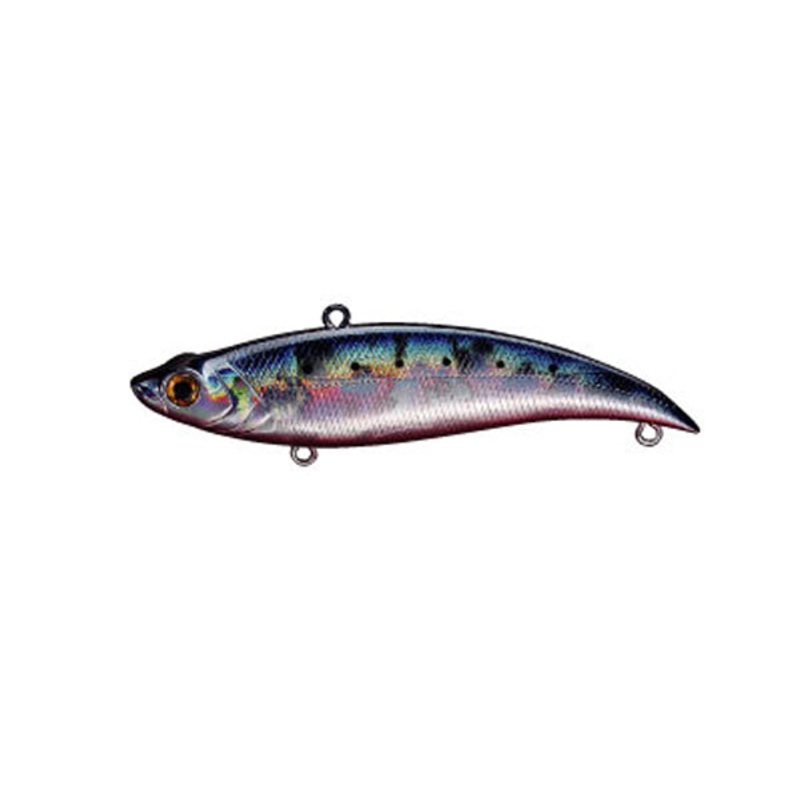 Smith Bayblue 70S Sl Sardine Redberry 54