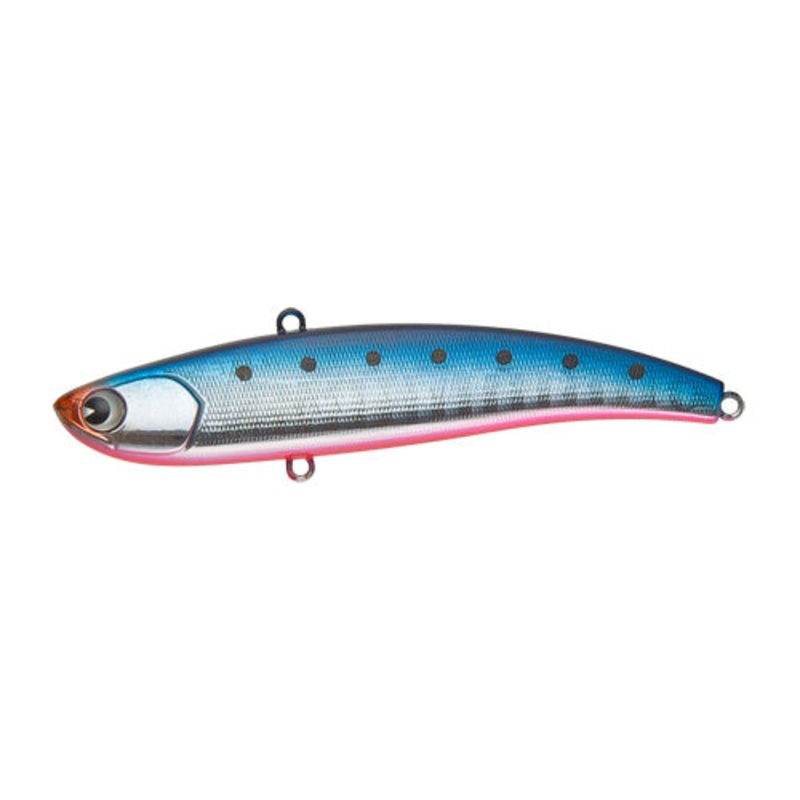ima Koume 80 Mako Sardine